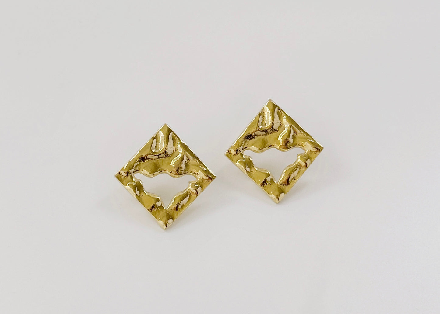 Fluid Thoughts Earrings